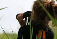 Observation nature camping de Lauwersoog